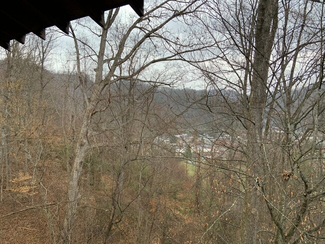 102 Smith Hl in Pikeville, KY - Building Photo - Building Photo