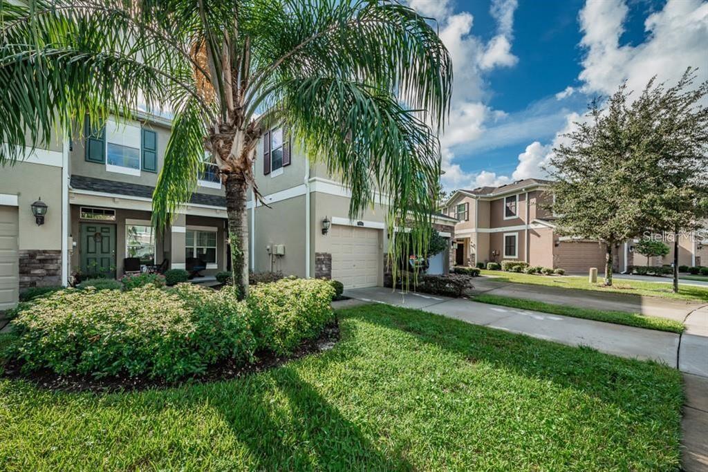 12562 Streamdale Dr in Tampa, FL - Building Photo