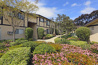 La Jolla Terrace in San Diego, CA - Foto de edificio - Building Photo