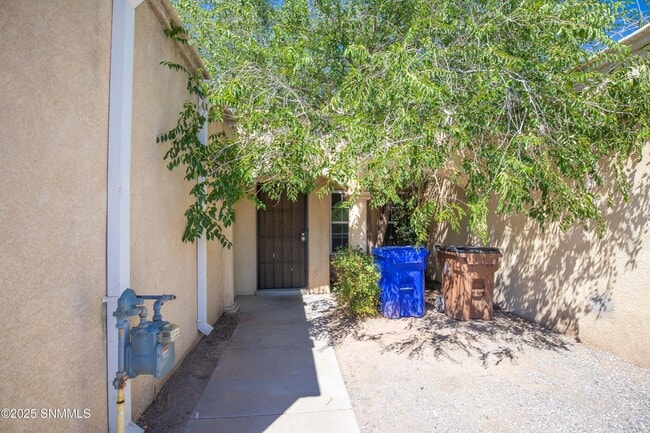 1302 N Triviz Dr in Las Cruces, NM - Building Photo - Building Photo