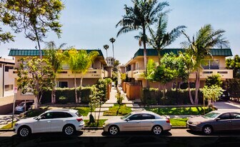 3557 Jasmine Ave, Unit #8 in Los Angeles, CA - Building Photo