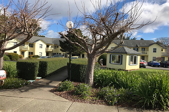 Pacific Pines in Bandon, OR - Building Photo