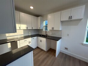 2607 Live Oak St in Houston, TX - Building Photo - Building Photo
