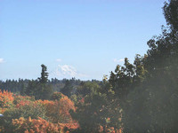 Capitol Terrace in Olympia, WA - Foto de edificio - Building Photo