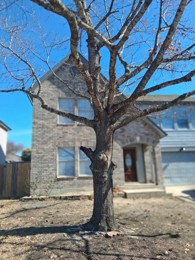 874 Fillmore Dr in San Antonio, TX - Building Photo - Building Photo