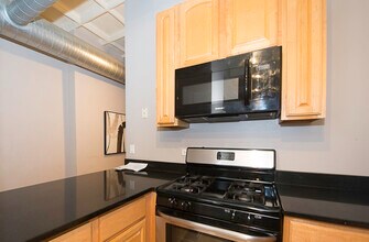 1307 S Wabash Ave in Chicago, IL - Building Photo - Building Photo