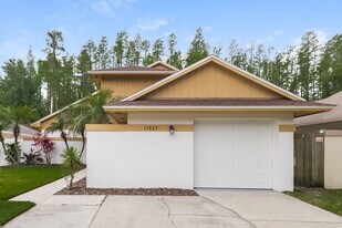 11829 Hickorynut Dr in Tampa, FL - Building Photo