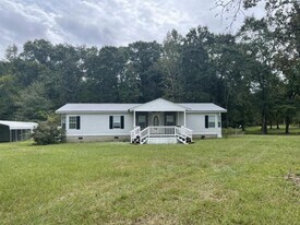 190 Dan Sparrow Rd in Hawkinsville, GA - Building Photo