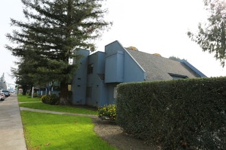 Seagull Apartments in Bakersfield, CA - Building Photo - Building Photo