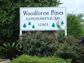 12955 Woodforest Blvd in Houston, TX - Building Photo