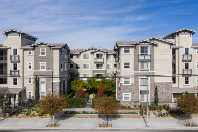 Alder in Northridge, CA - Foto de edificio - Building Photo