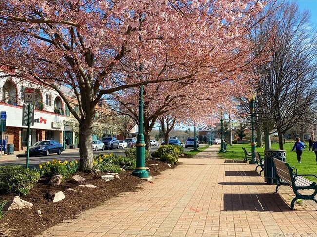 117 S Main St, Unit 2W in Branford, CT - Building Photo - Building Photo
