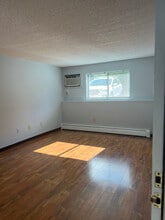 175 Willard St in Lowell, MA - Building Photo - Building Photo