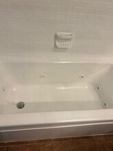 5005 Lillilea Ln in New Port Richey, FL - Building Photo - Building Photo