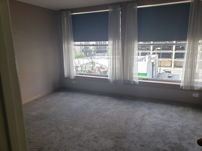 431 S Dearborn St, Unit Apt 305 in Chicago, IL - Building Photo - Building Photo