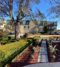 Skycrest Apartments in San Bruno, CA - Foto de edificio - Building Photo