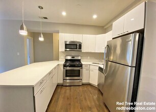 14 JFK St, Unit 4 in Cambridge, MA - Building Photo - Building Photo