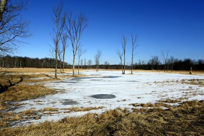 Casas Alquiler en Middletown Goshen, NY