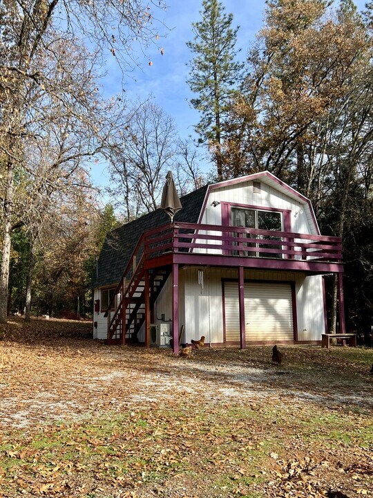 21151 Payton Ln in Pine Grove, CA - Building Photo