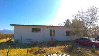 2395 Jade Ave in Sandy Valley, NV - Building Photo