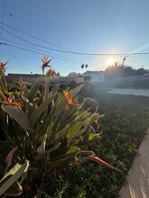 20622 Archwood St in Winnetka, CA - Building Photo - Building Photo