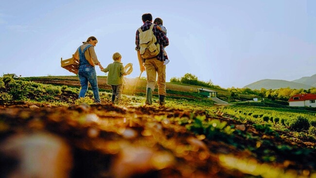 property at 2513 Legg Ln