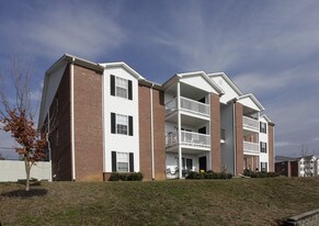 Kingsview Apartments in Kingsport, TN - Building Photo