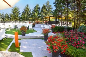 River Oaks West in Novi, MI - Foto de edificio - Building Photo
