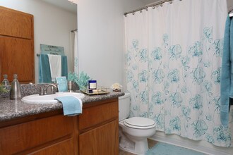 Interior Photo