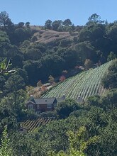 111 Ascot Ct, Unit A in Moraga, CA - Building Photo - Building Photo