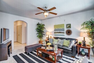 8309 Fannin St in Houston, TX - Building Photo - Building Photo