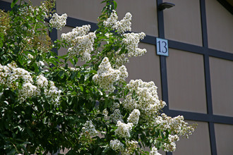 Pointe North Apartments in Albany, GA - Building Photo - Building Photo