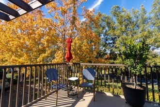 43 Forest Ln in San Rafael, CA - Building Photo - Building Photo