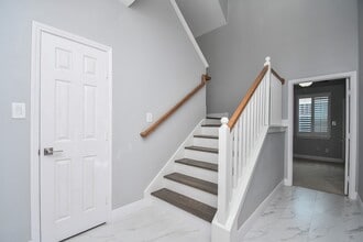 1016 Studer St in Houston, TX - Building Photo - Building Photo
