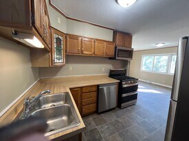 224 Forest Ave in St. Paul, MN - Building Photo