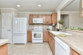 305 Barrington Farm Ct in Georgetown, TX - Building Photo - Building Photo