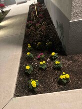 304 Preston St in Lehigh Acres, FL - Foto de edificio - Building Photo