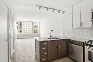795 W Adams St in Chicago, IL - Building Photo
