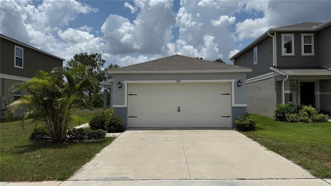 property at 539 Preserve Pointe Blvd