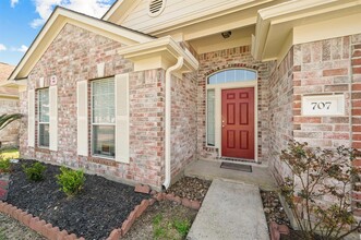 707 Winter Pines Ct in Spring, TX - Building Photo - Building Photo