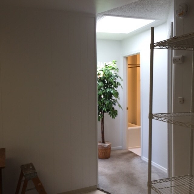 10002 3rd Ave NW in Seattle, WA - Building Photo - Building Photo