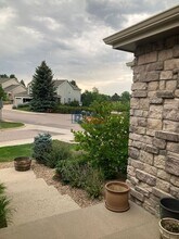 7194 Tenby Way in Castle Pines, CO - Building Photo - Building Photo