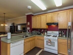 1694 Paseo Aurora in San Diego, CA - Building Photo - Building Photo
