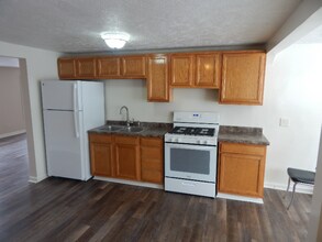 1250 Carlton Ave NE in Grand Rapids, MI - Building Photo - Building Photo