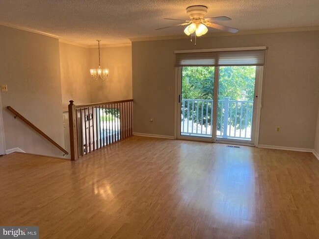 53 E Shrewsbury Pl in Princeton, NJ - Building Photo - Building Photo