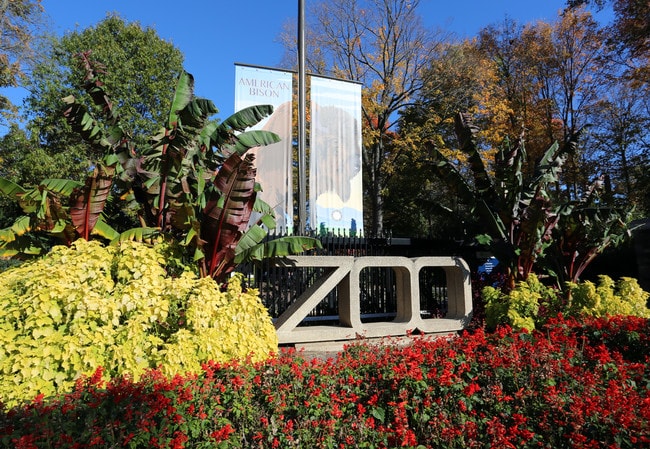 Casas Alquiler en Woodley Park, DC