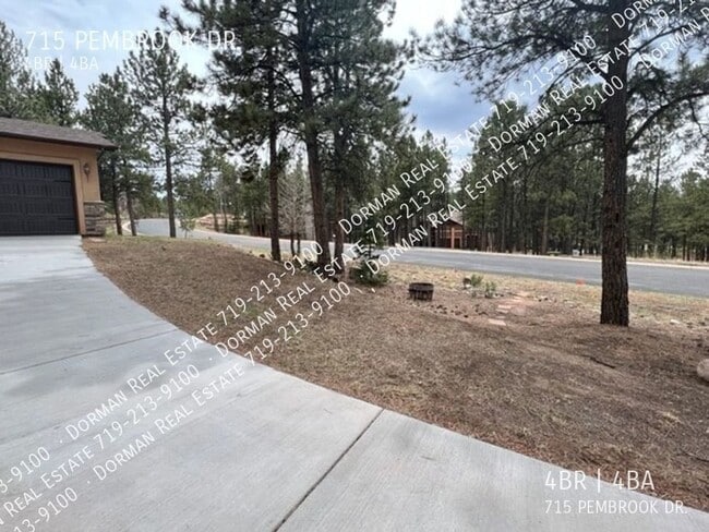 715 Pembrook Dr in Woodland Park, CO - Building Photo - Building Photo
