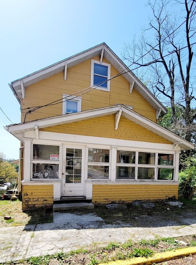 property at 217 McLane Ave