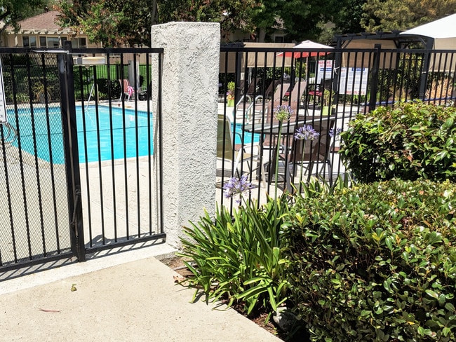 655 Marshall Ct in Claremont, CA - Building Photo - Building Photo