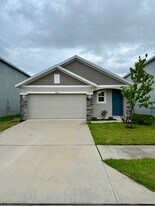 32447 Weathered Oak Dr in Wesley Chapel, FL - Building Photo